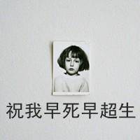别把真心给了不珍惜你的狗
