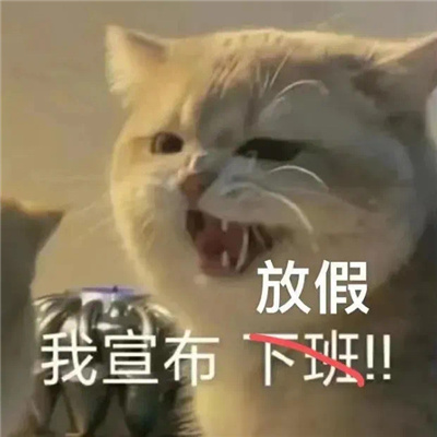 放假狂欢表情包 开心激动放飞自我
