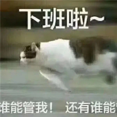 放假狂欢表情包 开心激动放飞自我