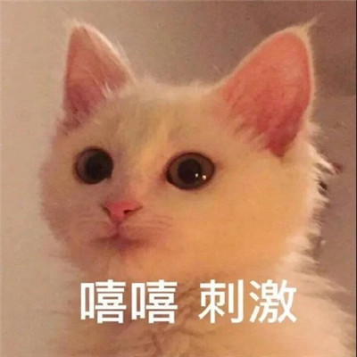 洗吧风沙雕表情包 日常超经典 给你带来欢乐