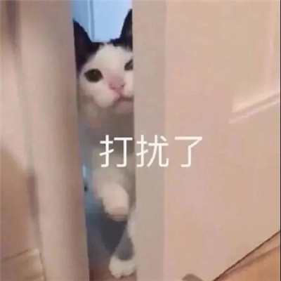 洗吧风沙雕表情包 日常超经典 给你带来欢乐