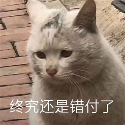 洗吧风沙雕表情包 日常超经典 给你带来欢乐