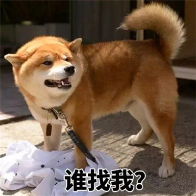 洗吧风沙雕表情包 日常超经典 给你带来欢乐