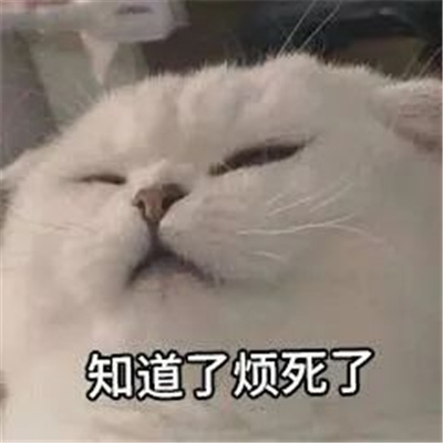 烦躁的表情大全 让你轻松应对各种烦心事