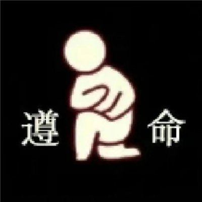2024年表情包 有趣、搞怪、快乐 别再跟我“哇哇叫”