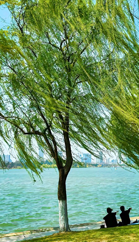 2024苹果壁纸 不回头 值得的人不会散屏。
