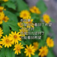 唯美头像设计 听懂的诺言 唯美意境控QQ头像