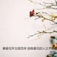 唯美头像设计 听懂的诺言 唯美意境控QQ头像