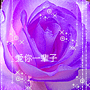 玫瑰花表情+精选玫瑰花图片 传递浪漫情意