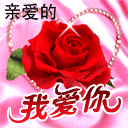 玫瑰花表情+精选玫瑰花图片 传递浪漫情意
