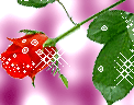 玫瑰花表情+精选玫瑰花图片 传递浪漫情意