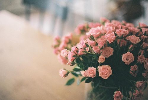 唯美lomo鲜花背景 感受被丢下的孤独氛围