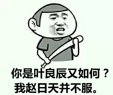 叶良辰赵日天聊天魔性表情合集 表情包新潮流