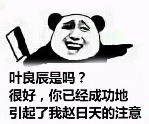 叶良辰赵日天聊天魔性表情合集 表情包新潮流
