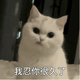 日常搞怪动态表情 热门火爆的GIF集合 让你笑不停