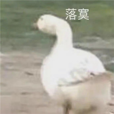 超级沙雕表情包 无聊到爆💥