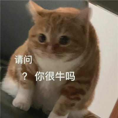 超级沙雕表情包 无聊到爆💥