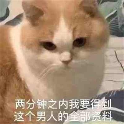 超级沙雕表情包 无聊到爆💥