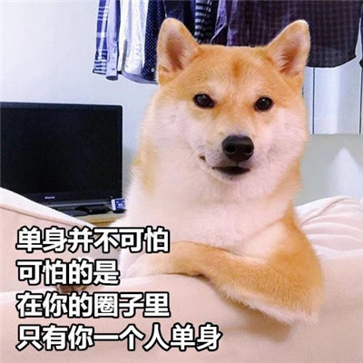 最新版单身狗专用表情 靓仔总是孤独 独特又有趣。