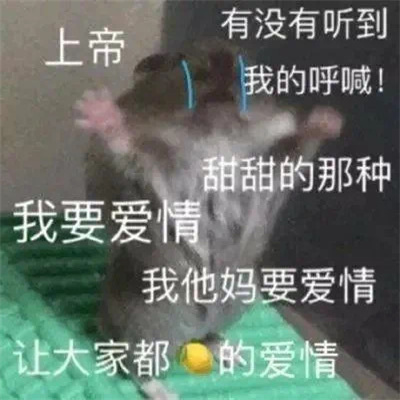 最新版单身狗专用表情 靓仔总是孤独 独特又有趣。