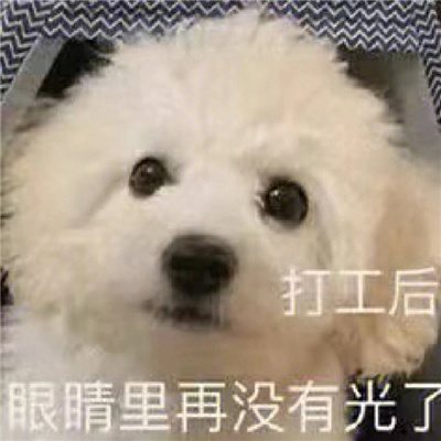 张张活泼有趣表情包合集 2024年调皮表情 让聊天更有趣