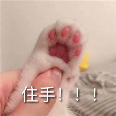 恶搞表情大集合 逗趣又有趣 微信聊天必备