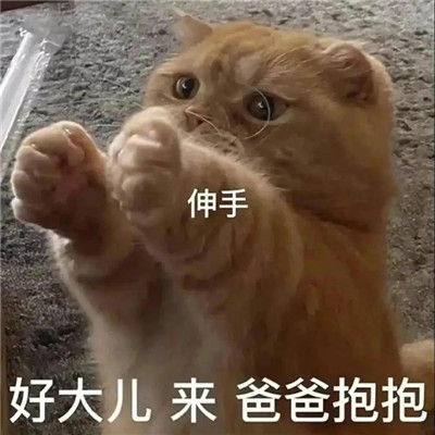 恶搞表情大集合 逗趣又有趣 微信聊天必备