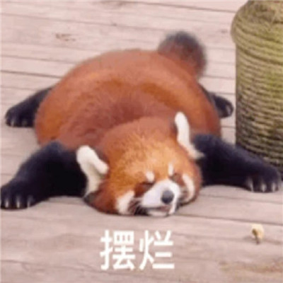 恶搞表情大集合 逗趣又有趣 微信聊天必备