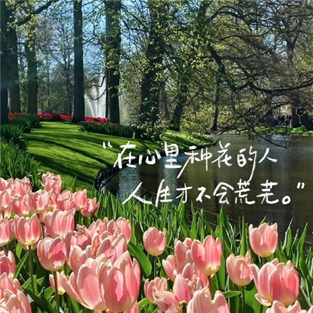 超美手写背景图 让你的生活充满艺术气息