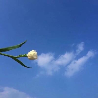 深度空间 意境风景 精选微信头像大全