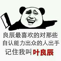 叶良辰表情包2015最新版 带字魔性表情 让你笑不停