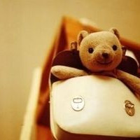 暖色系静物 个性头像 充满意境之美