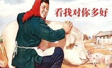 逗比表情文字图片 高冷恶搞表情大全