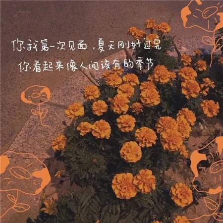 "幸运背景图 感受四季的美好"