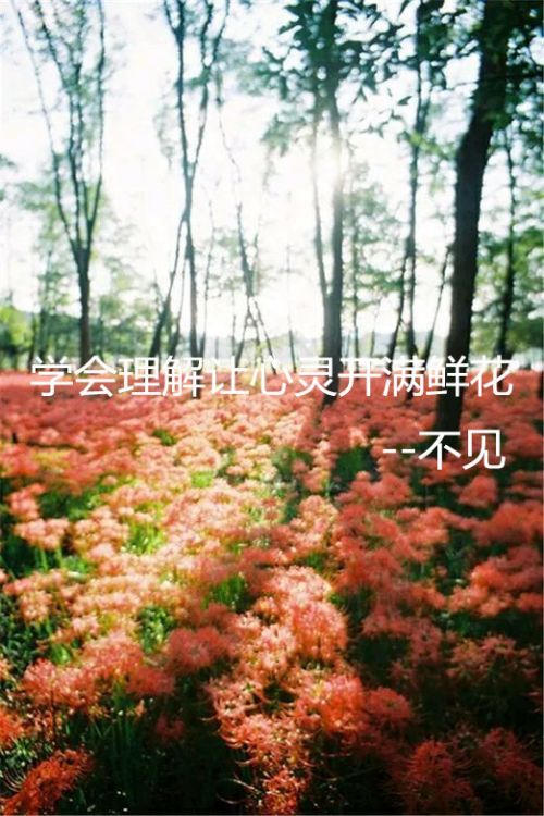 励志QQ皮肤大全 学会放弃 才能领悟爱情真谛