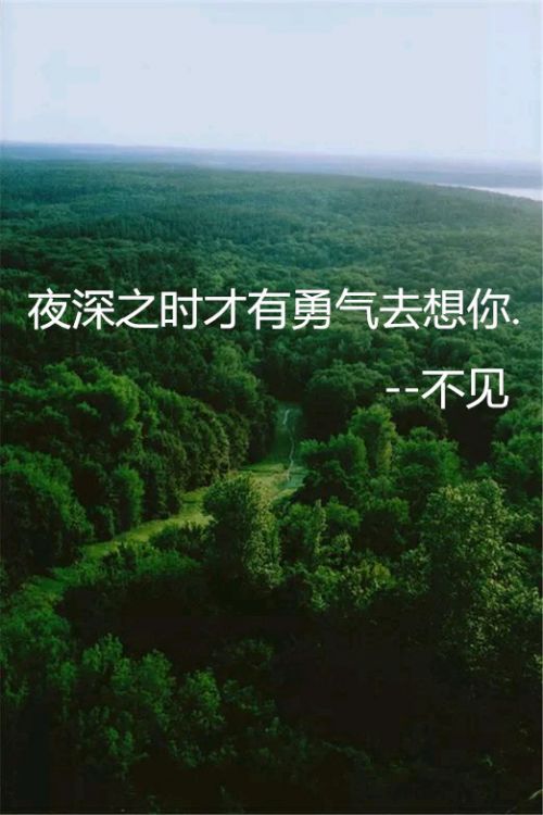 励志QQ皮肤大全 学会放弃 才能领悟爱情真谛