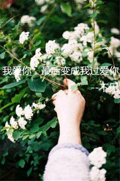 励志QQ皮肤大全 学会放弃 才能领悟爱情真谛