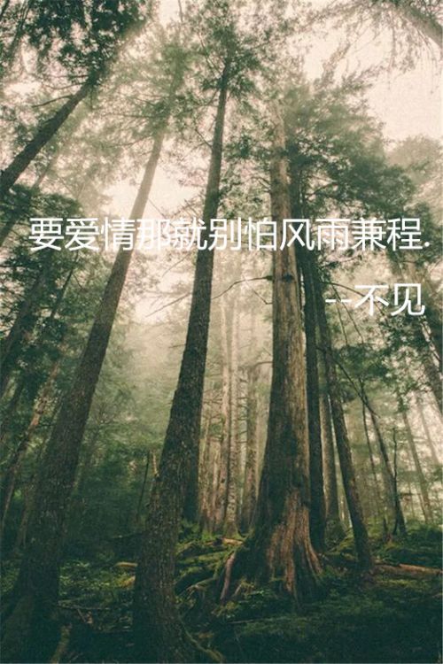励志QQ皮肤大全 学会放弃 才能领悟爱情真谛