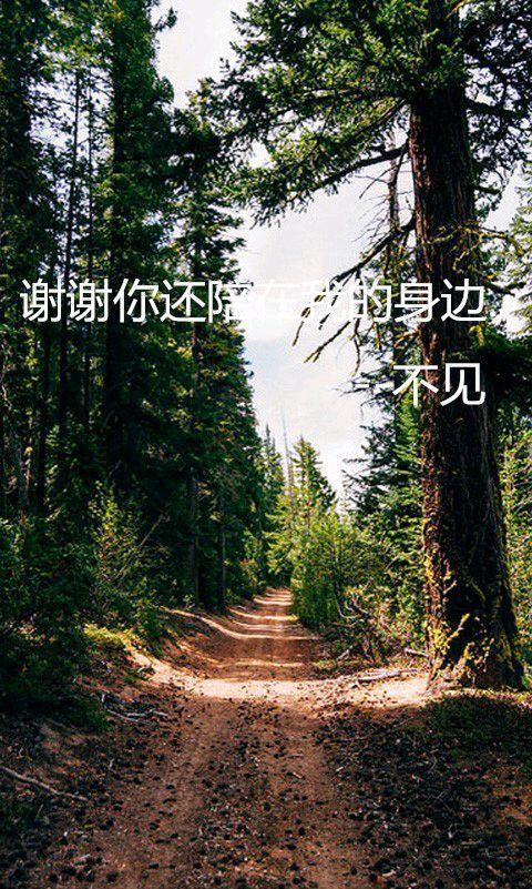 励志QQ皮肤大全 学会放弃 才能领悟爱情真谛
