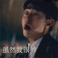 张翰表情包恶搞版 翰哥表情 字迹传神