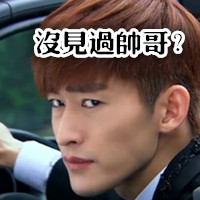 张翰表情包恶搞版 翰哥表情 字迹传神