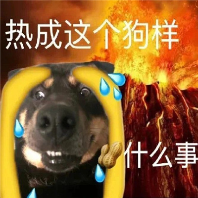 高温来袭 热昏了表情包 让你轻松表达热浪滚滚