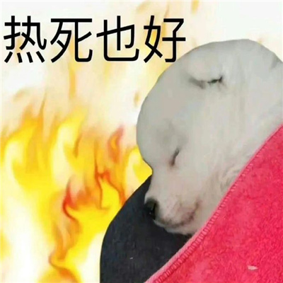 高温来袭 热昏了表情包 让你轻松表达热浪滚滚