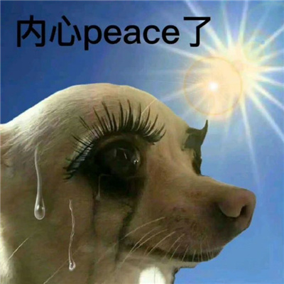 高温来袭 热昏了表情包 让你轻松表达热浪滚滚