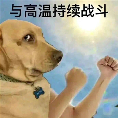 高温来袭 热昏了表情包 让你轻松表达热浪滚滚