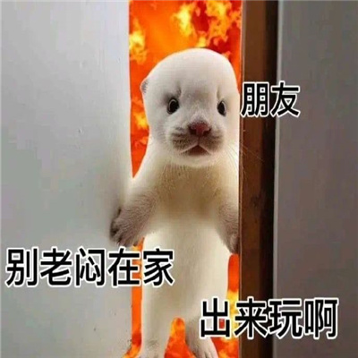 高温来袭 热昏了表情包 让你轻松表达热浪滚滚