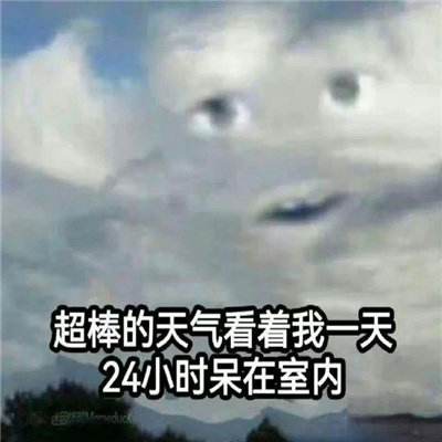 高温来袭 热昏了表情包 让你轻松表达热浪滚滚