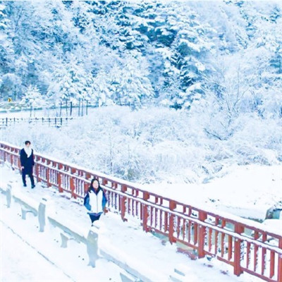 下雪天美照头像大全 高清雪景头像任你选