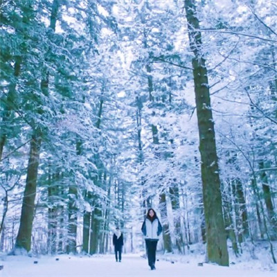 下雪天美照头像大全 高清雪景头像任你选