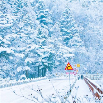 下雪天美照头像大全 高清雪景头像任你选